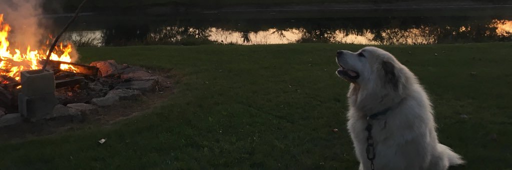 KRadzwion's profile banner image