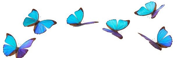 6|21 banner