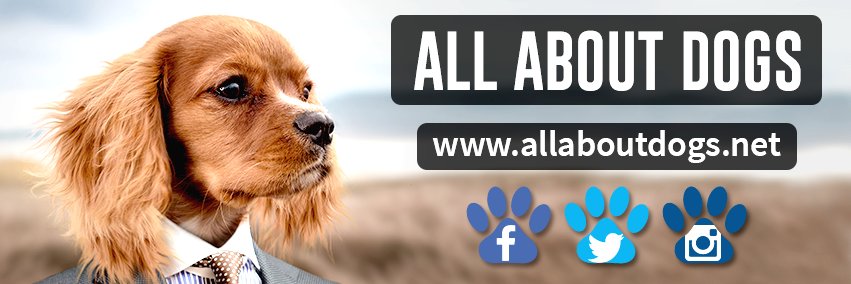 allaboutdogstop's profile banner image