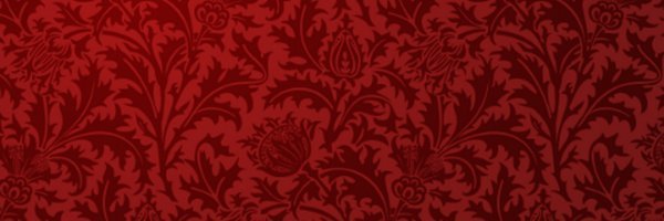 eshuertajavier's profile banner image