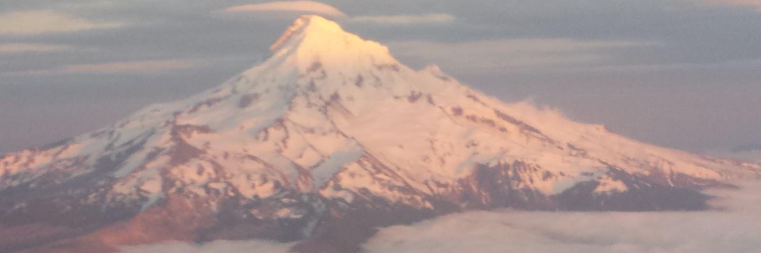 wedonthunt's profile banner image