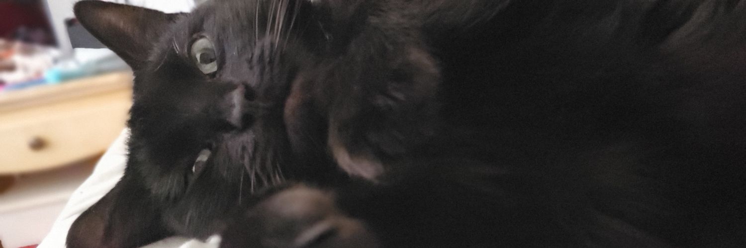 Phloppo_'s profile banner image