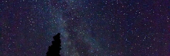 wilnds's profile banner image