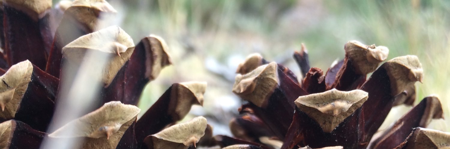 Amy Clare Tasker banner