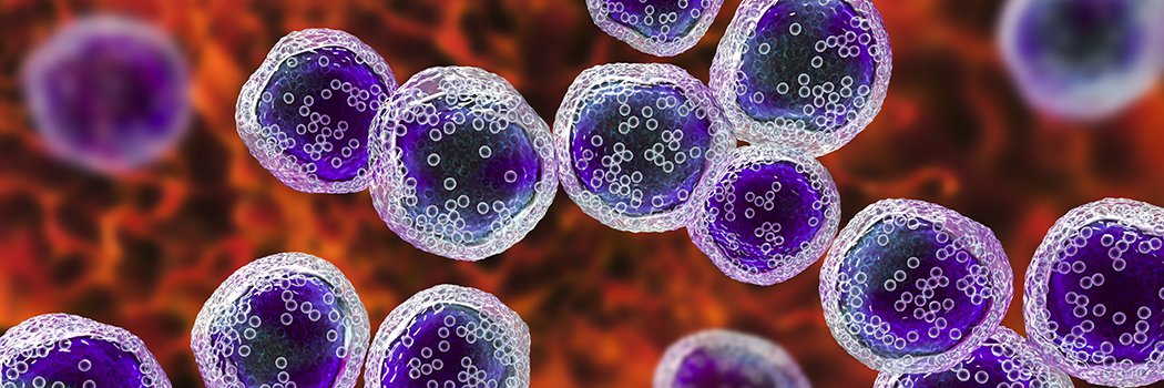 UTMB Graduate School of Biomedical Sciences banner