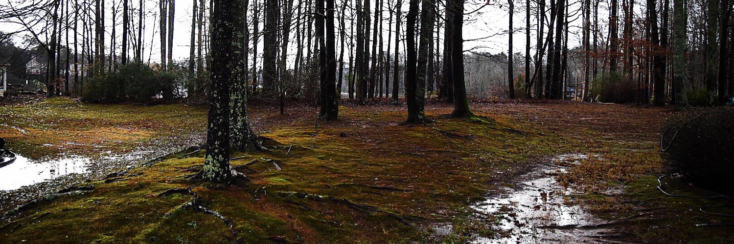 davejgrant's profile banner image
