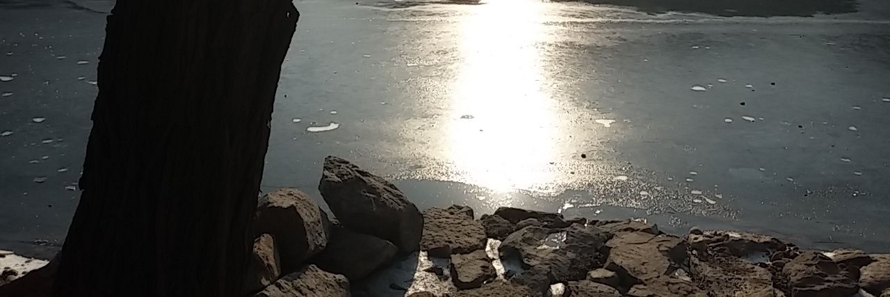 Darr_Lyn's profile banner image