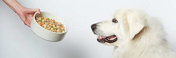 Nom Nom banner