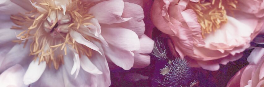 You_0_416's profile banner image