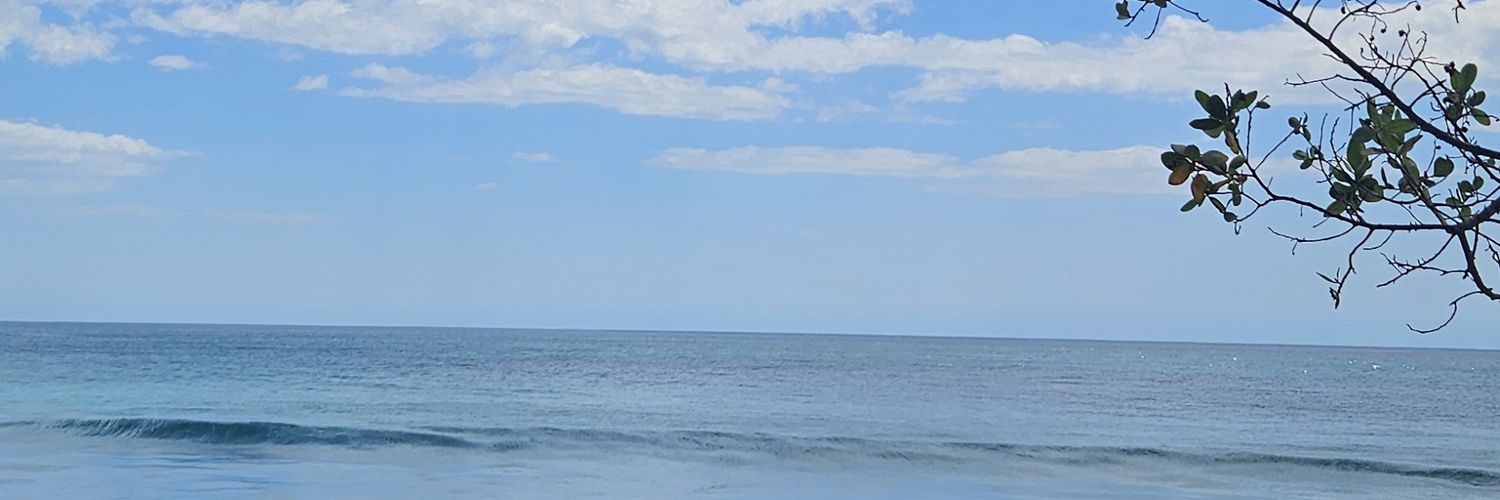Santiliboo's profile banner image