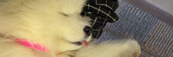 Nepheloyd Profile Banner