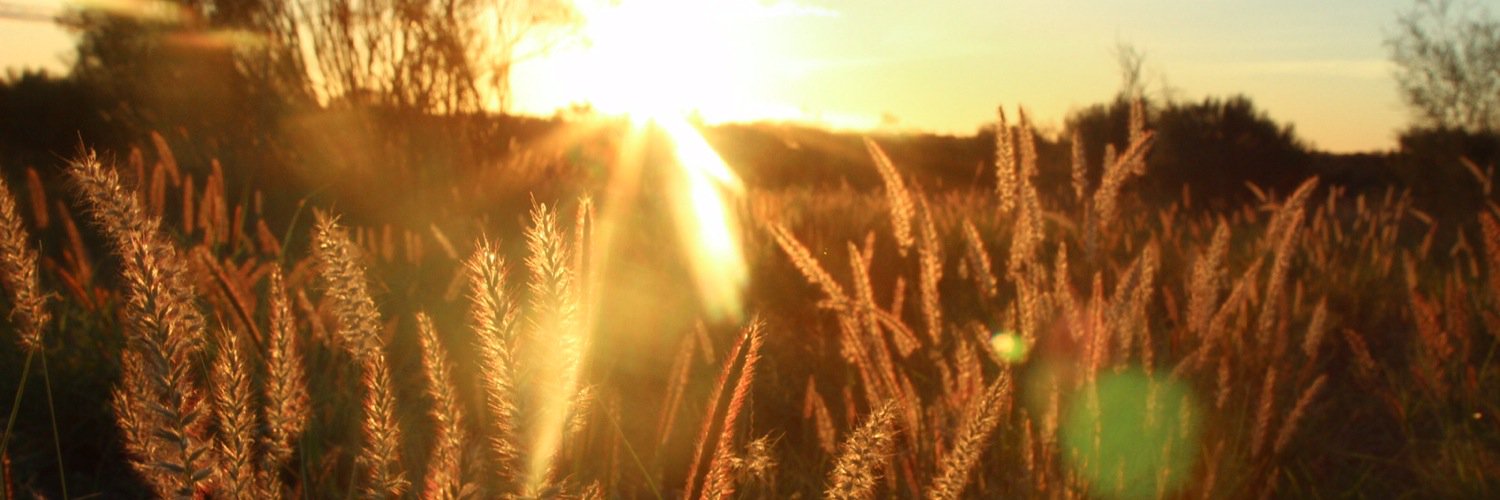 Flindersbakery's profile banner image
