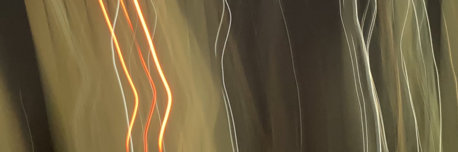 d1aneeea's profile banner image