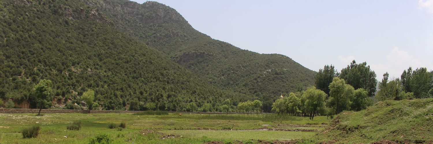bangashbashir1's profile banner image
