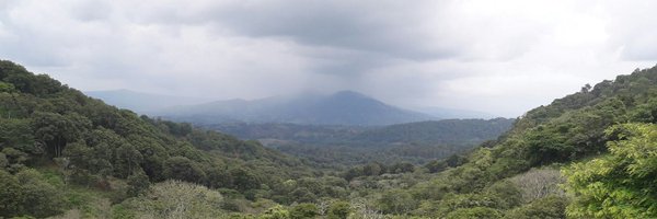 dcvoss1 Profile Banner