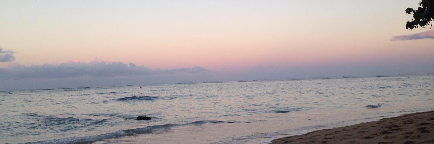 Briana banner