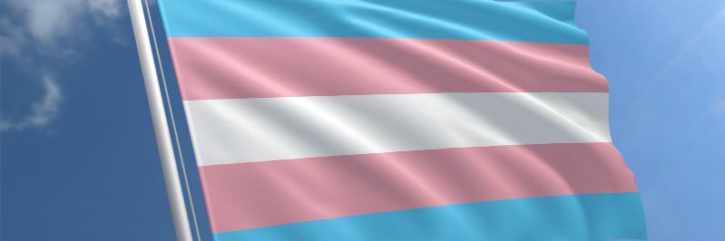 transfabamber's profile banner image