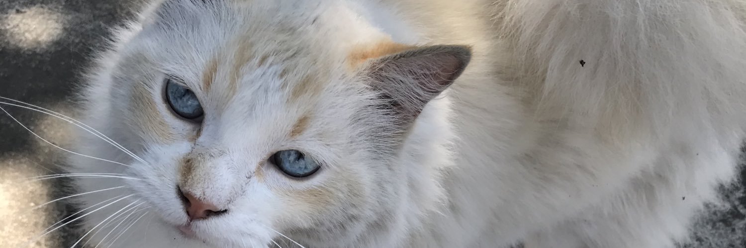 _GregoryUreta's profile banner image