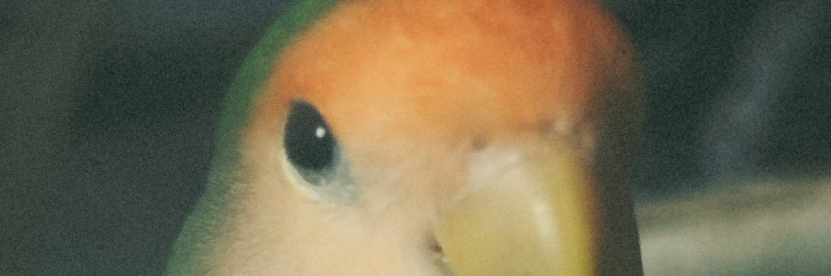 うねぎ まり banner