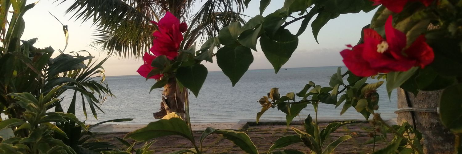 nadhiable's profile banner image