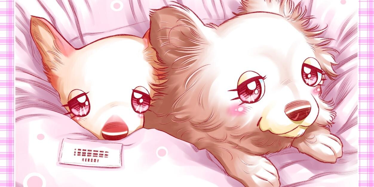 Mtomomami's profile banner image