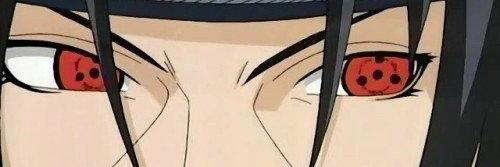 laika2213's profile banner image