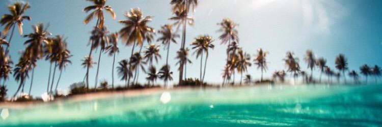 idfkpayne's profile banner image