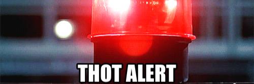 ThotPoPo's profile banner image