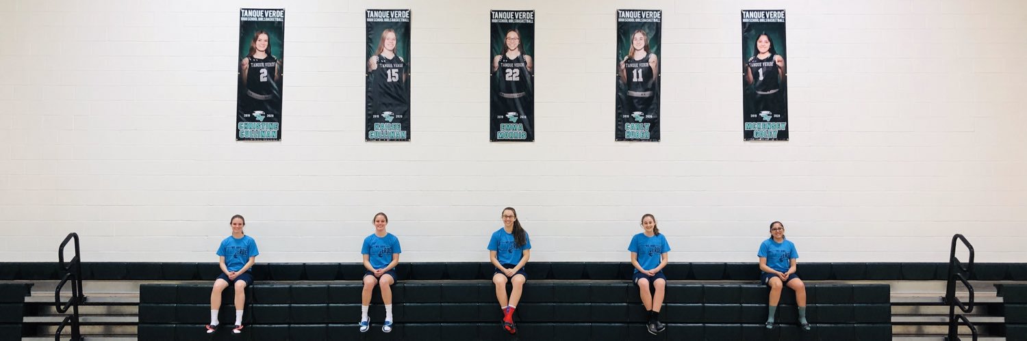 TVHS Lady Hawks banner