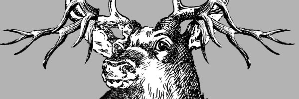 DeathlyPringles's profile banner image