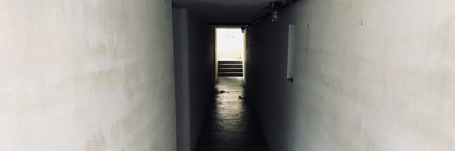 ShadowsMirrors's profile banner image