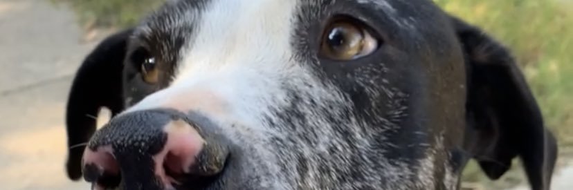 HarrisonBo_'s profile banner image