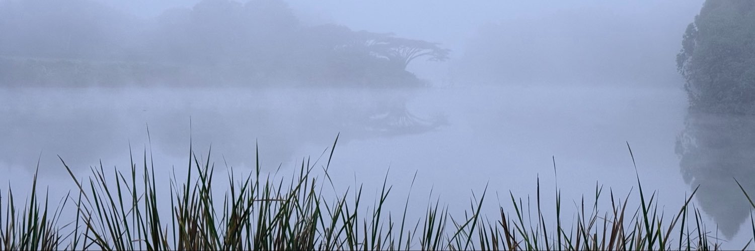 AiresCL's profile banner image