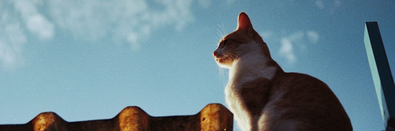 ExonGualito's profile banner image