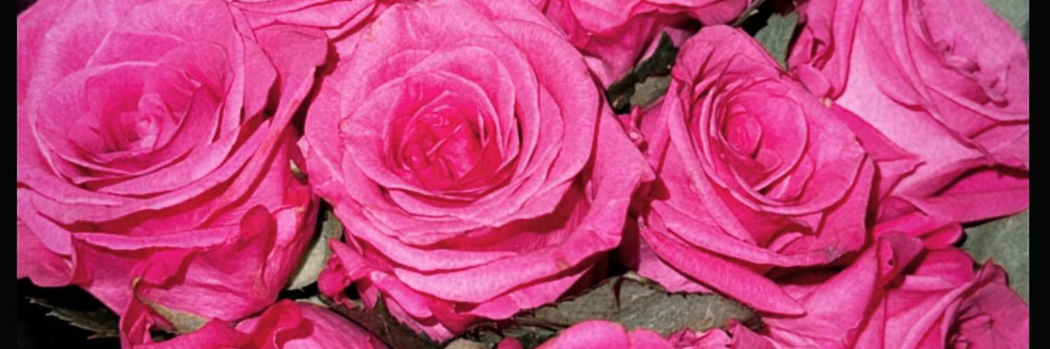J_Elizabethxo's profile banner image