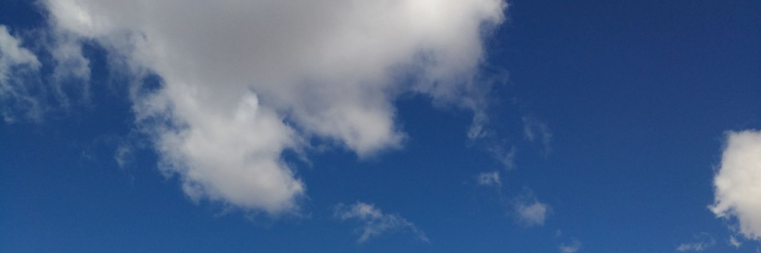 anasofiagnc's profile banner image