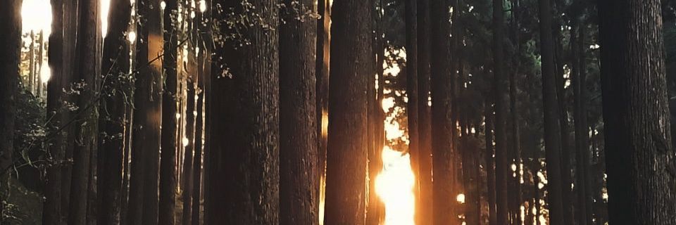 saswatsometimes's profile banner image