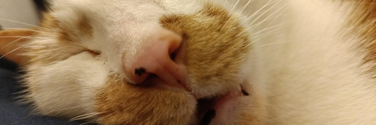 地方的小兵 banner