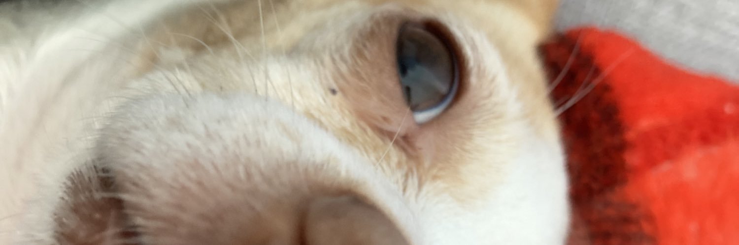 zolxra's profile banner image