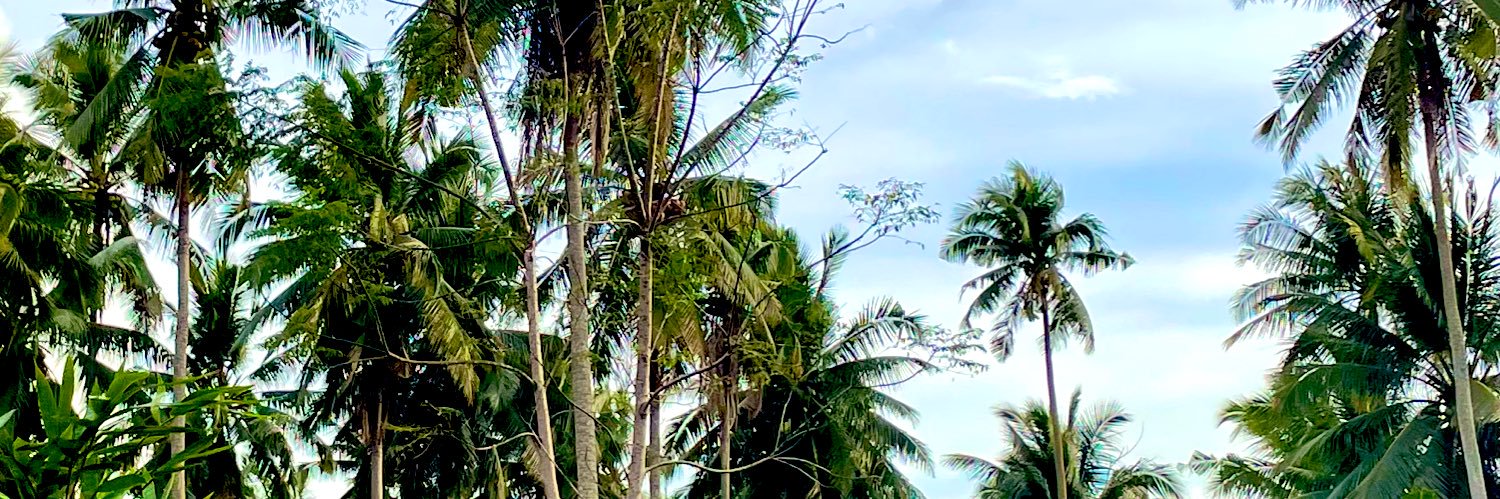 jayrielmp's profile banner image
