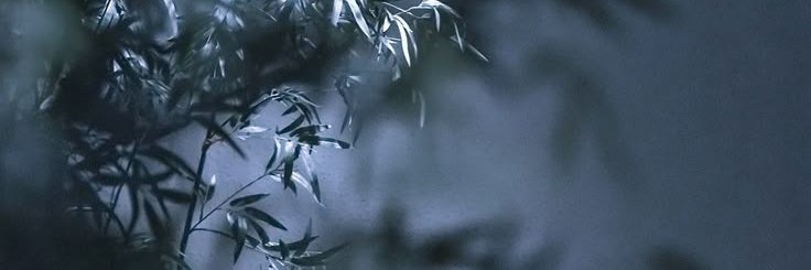 Joao sem braço banner