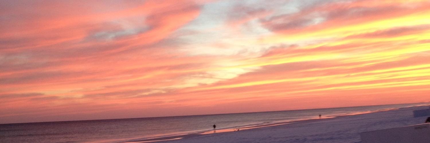 maddyyroddy's profile banner image