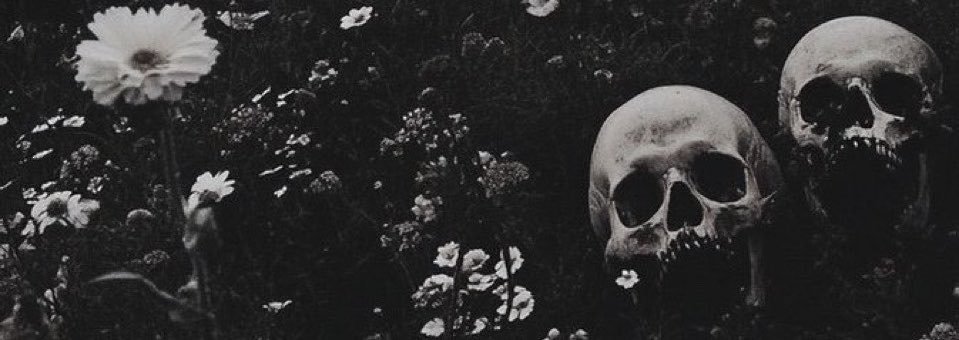 prodzaysace's profile banner image