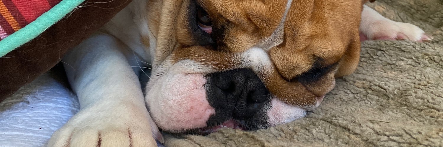 Better Tomorrows banner