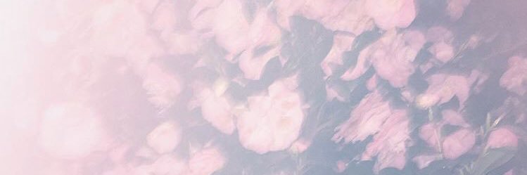 Yuiutaaka's profile banner image