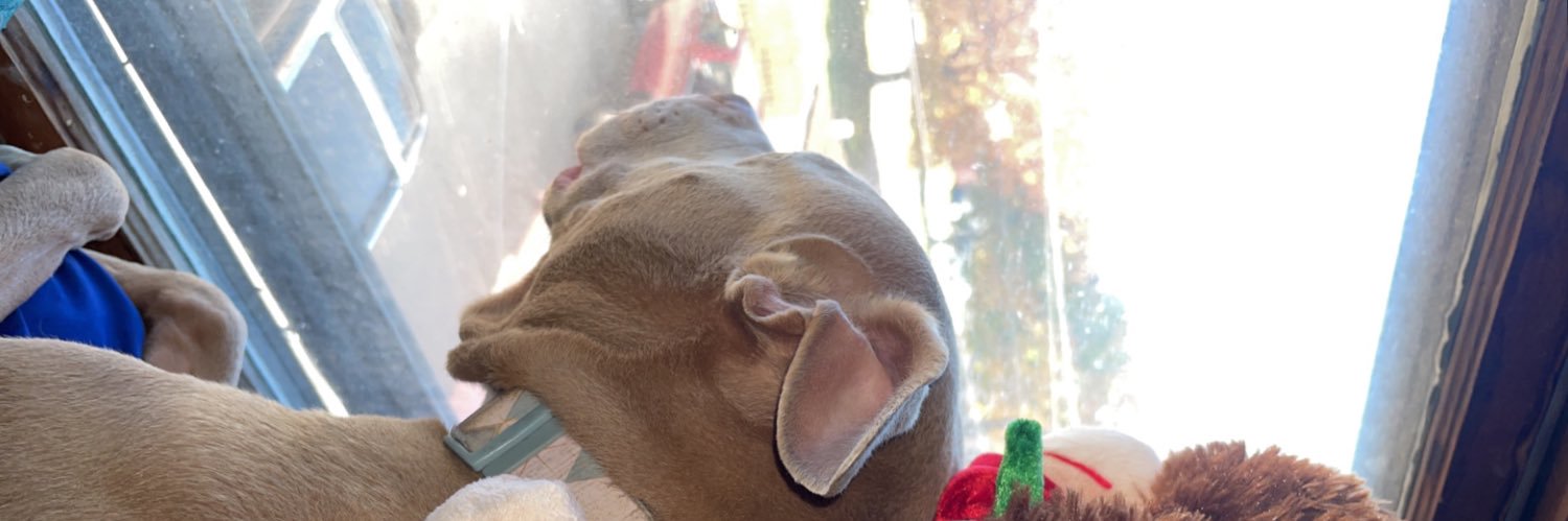 frizzysix's profile banner image