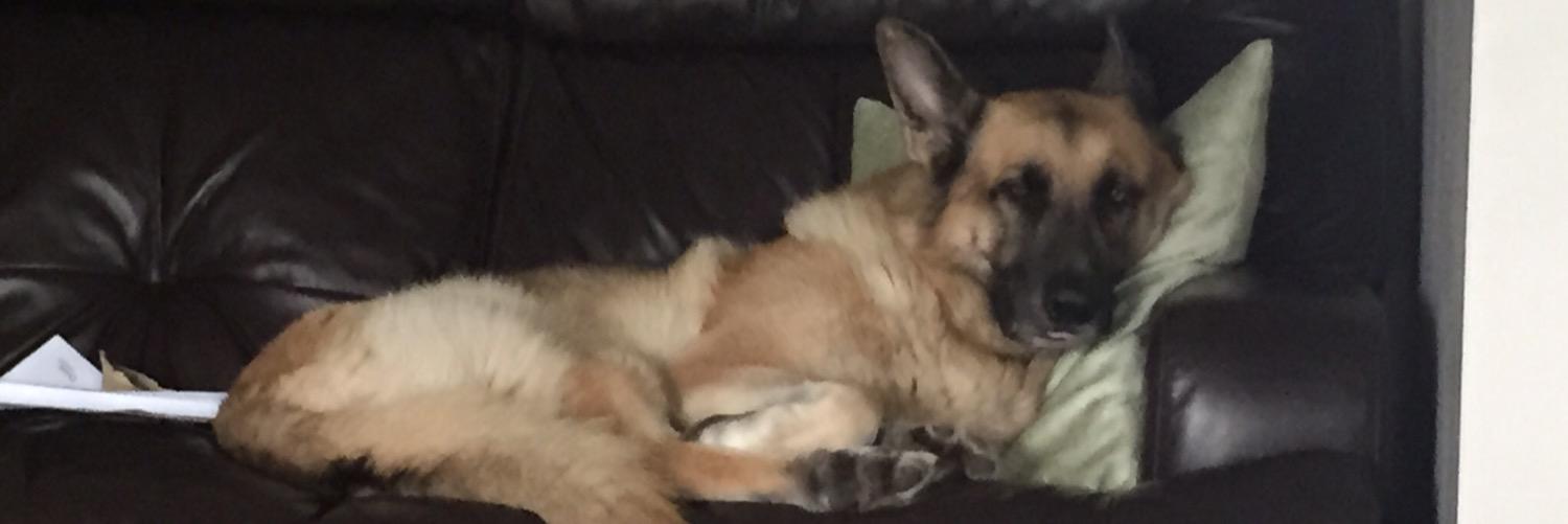 getbigernbetter's profile banner image