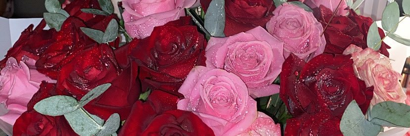 Dno__1994's profile banner image