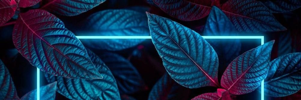 oliveralexandr's profile banner image