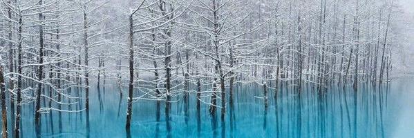 HIYL_Allen_'s profile banner image